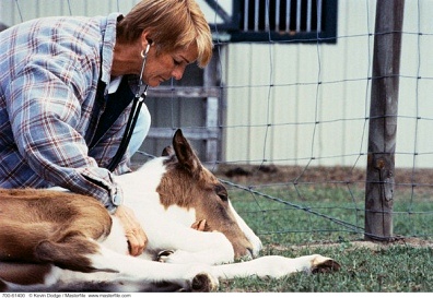 白癜风病因是黑色素细胞缺失吗